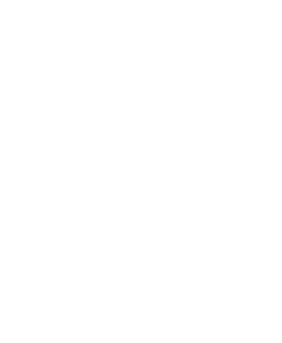 Baylor School banner logo